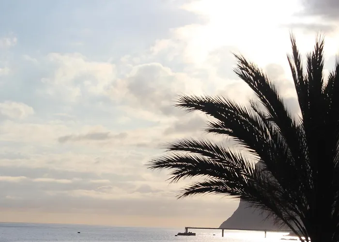 Atlantic Gardens - Atlanticgardensbeach Com *