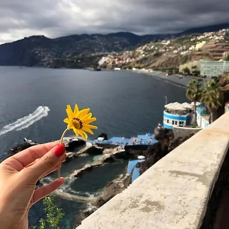 Апартаменты Atlantic Gardens - Atlanticgardensbeach Com